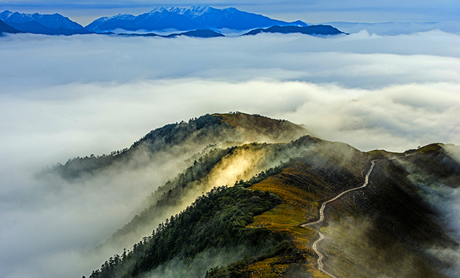 南宫NG28相信品牌的实力网址(中国)官网