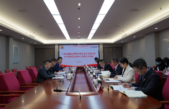 南宫28集团党委书记、董事长任丁出席逍遥旅馆集团2022年度党员向导干部民主生涯会